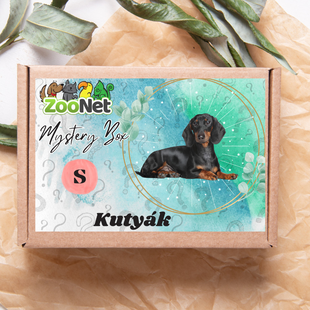 Kisállat webáruház - Mystery Box ajándékdoboz Kutyáknak– S termékek