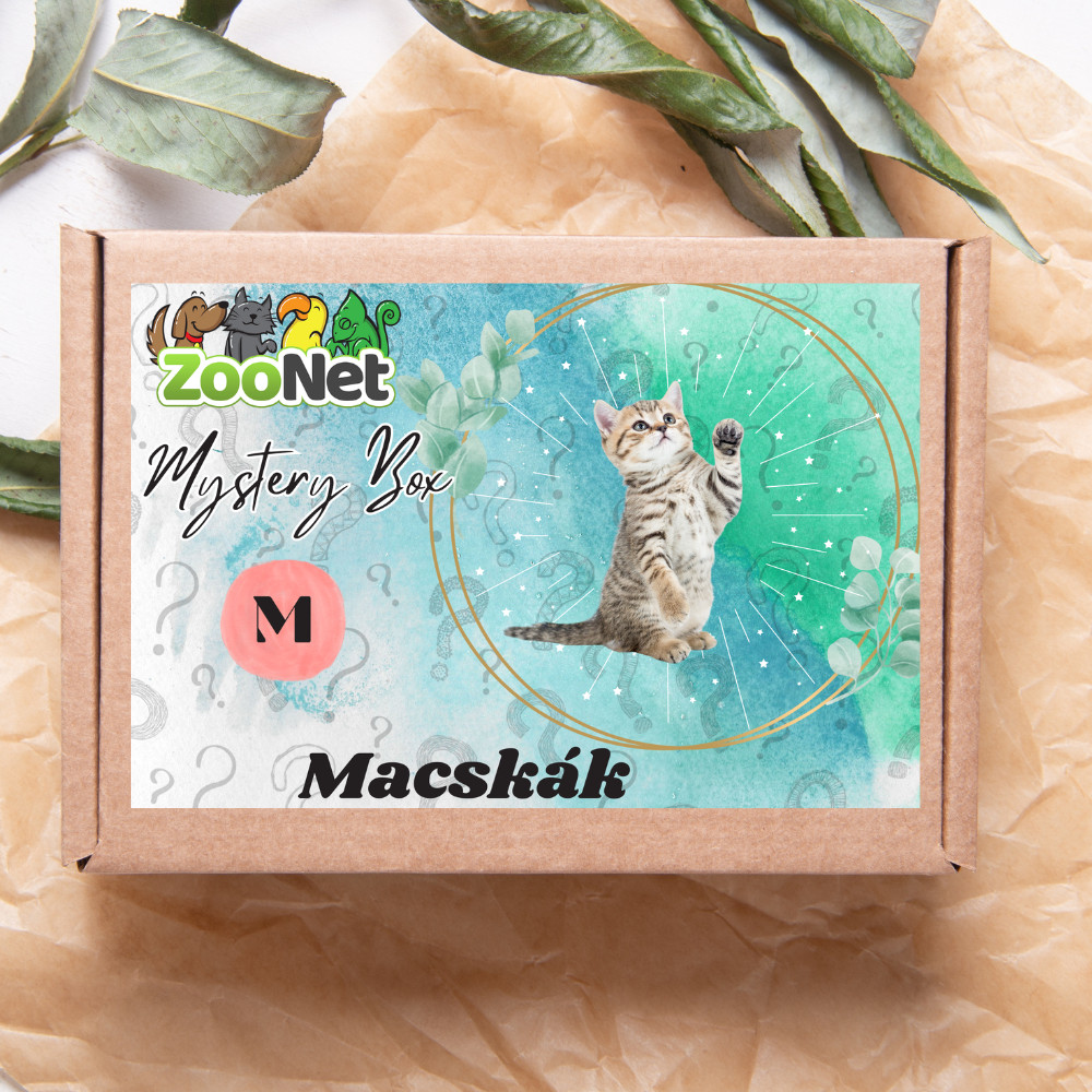 Kisállat webáruház - Mystery Box ajándékdoboz Macskáknak– M termékek