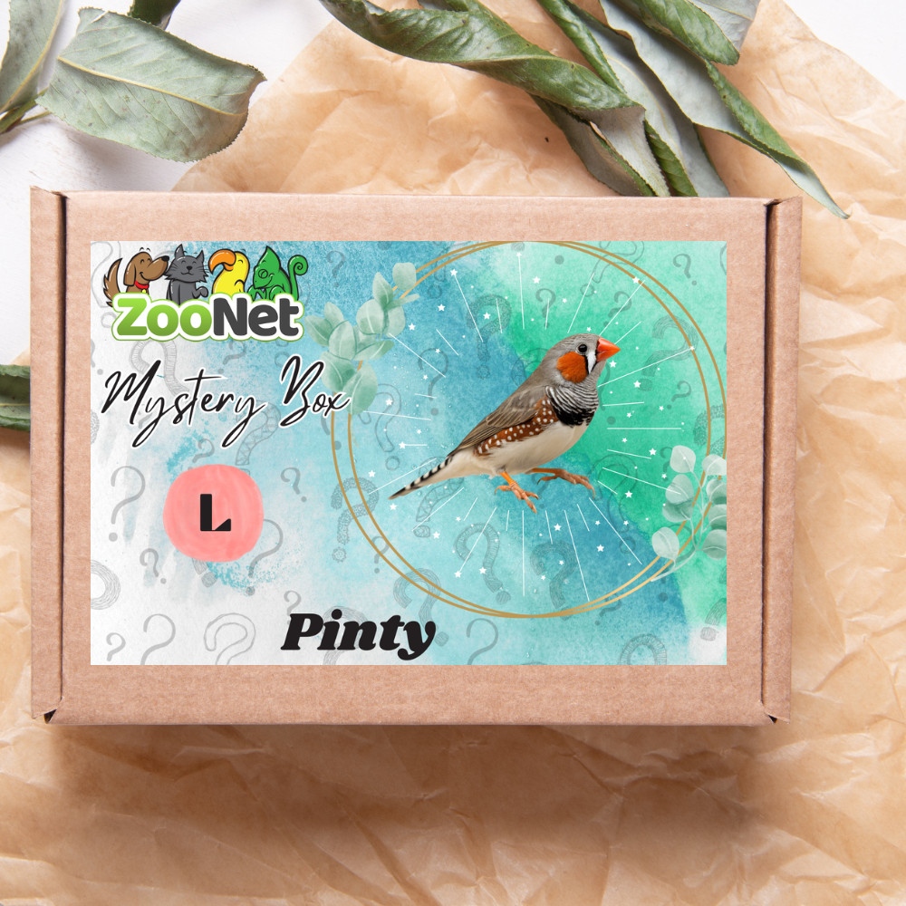 Kisállat webáruház - Mystery Box ajándékdoboz Pintyeknek– L termékek
