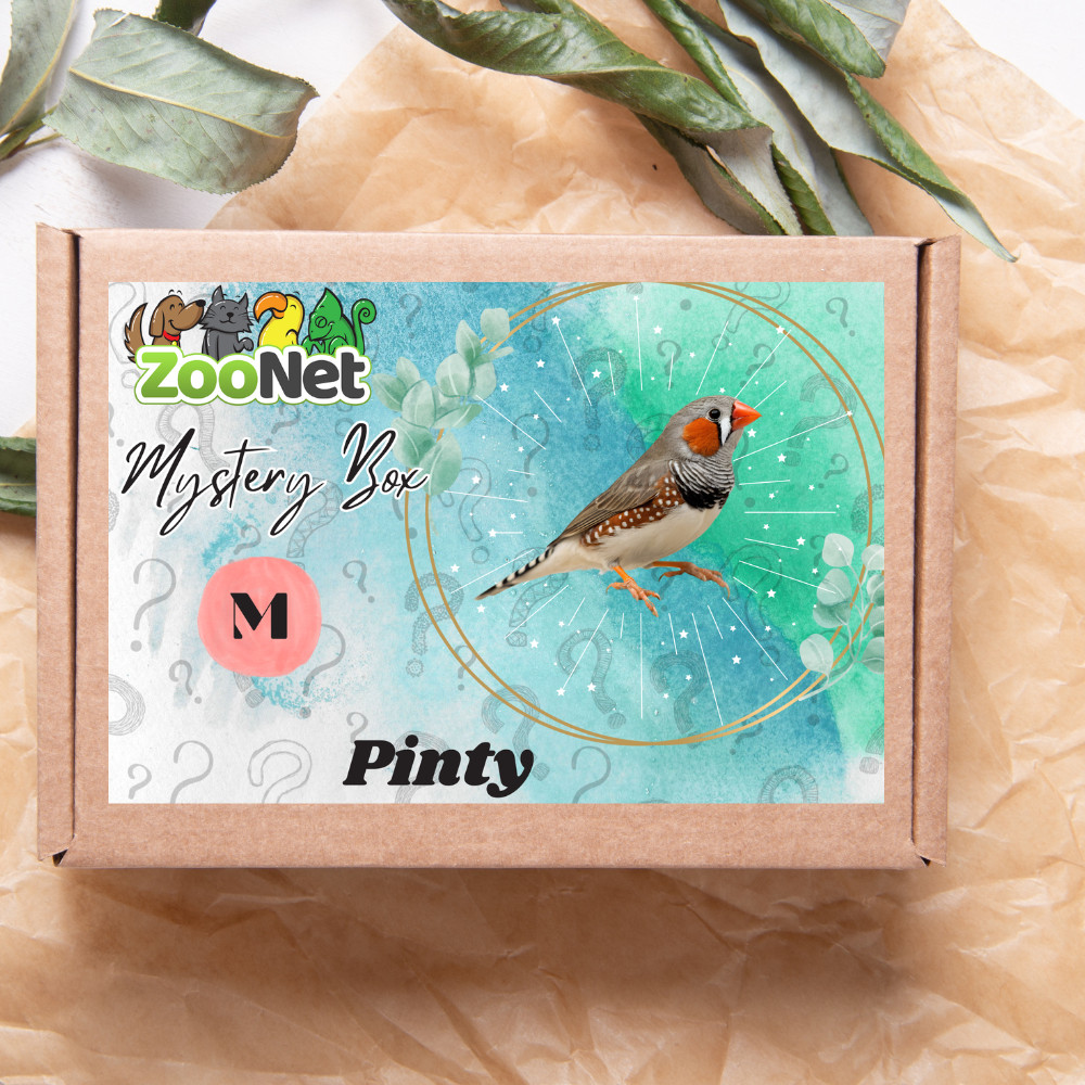 Kisállat webáruház - Mystery Box ajándékdoboz Pintyeknek– M termékek