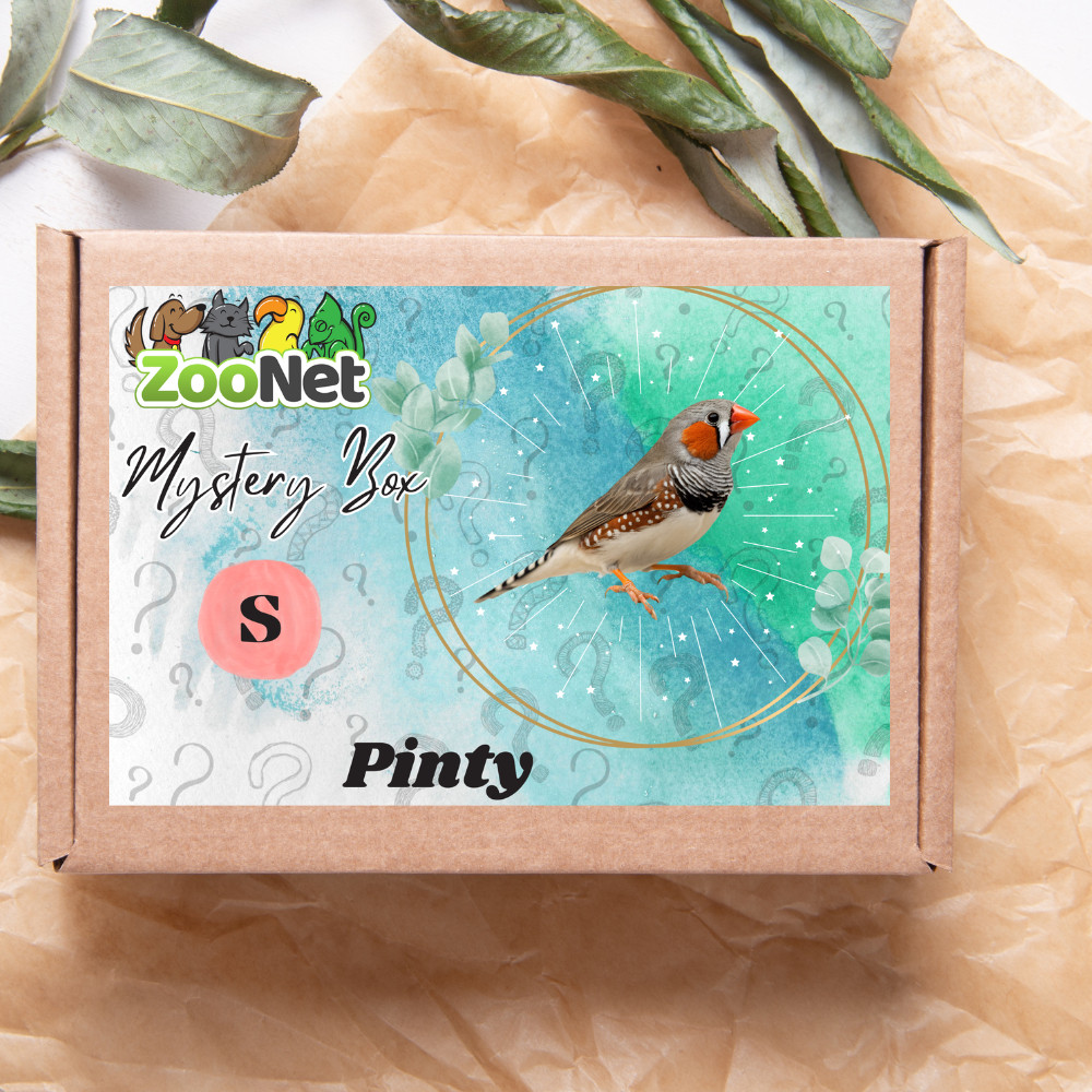 Kisállat webáruház - Mystery Box ajándékdoboz Pintyeknek– S termékek