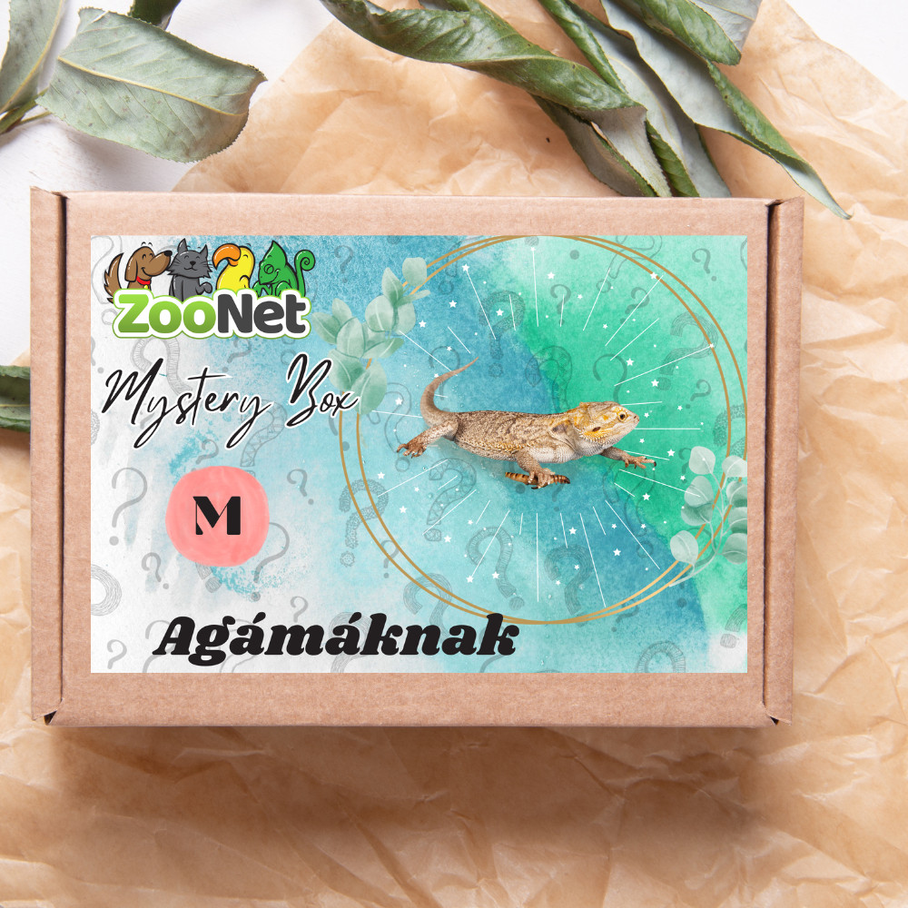 Kisállat webáruház - Mystery Box ajándékdoboz Szakállas agámáknak – M termékek