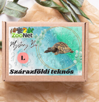 Kisállat webáruház - Mystery Box ajándékdoboz Szárazföldi teknősnek – L termékek