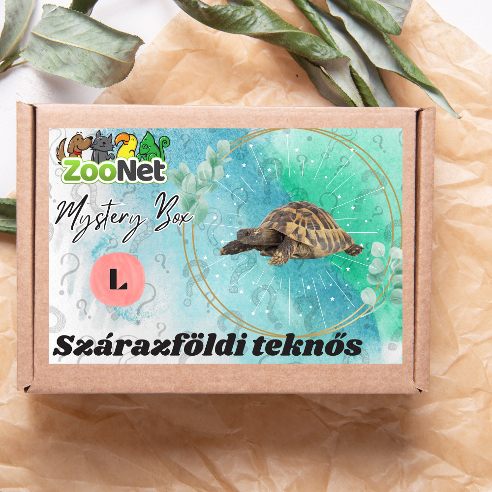 Kisállat webáruház - Mystery Box ajándékdoboz Szárazföldi teknősnek – L termékek