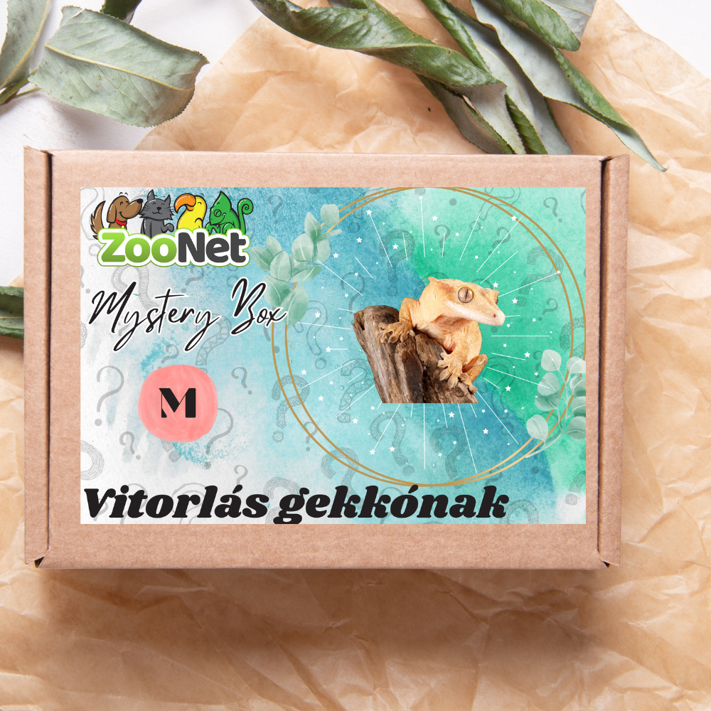 Kisállat webáruház - Mystery Box ajándékdoboz Vitorlás gekkóknak – M termékek