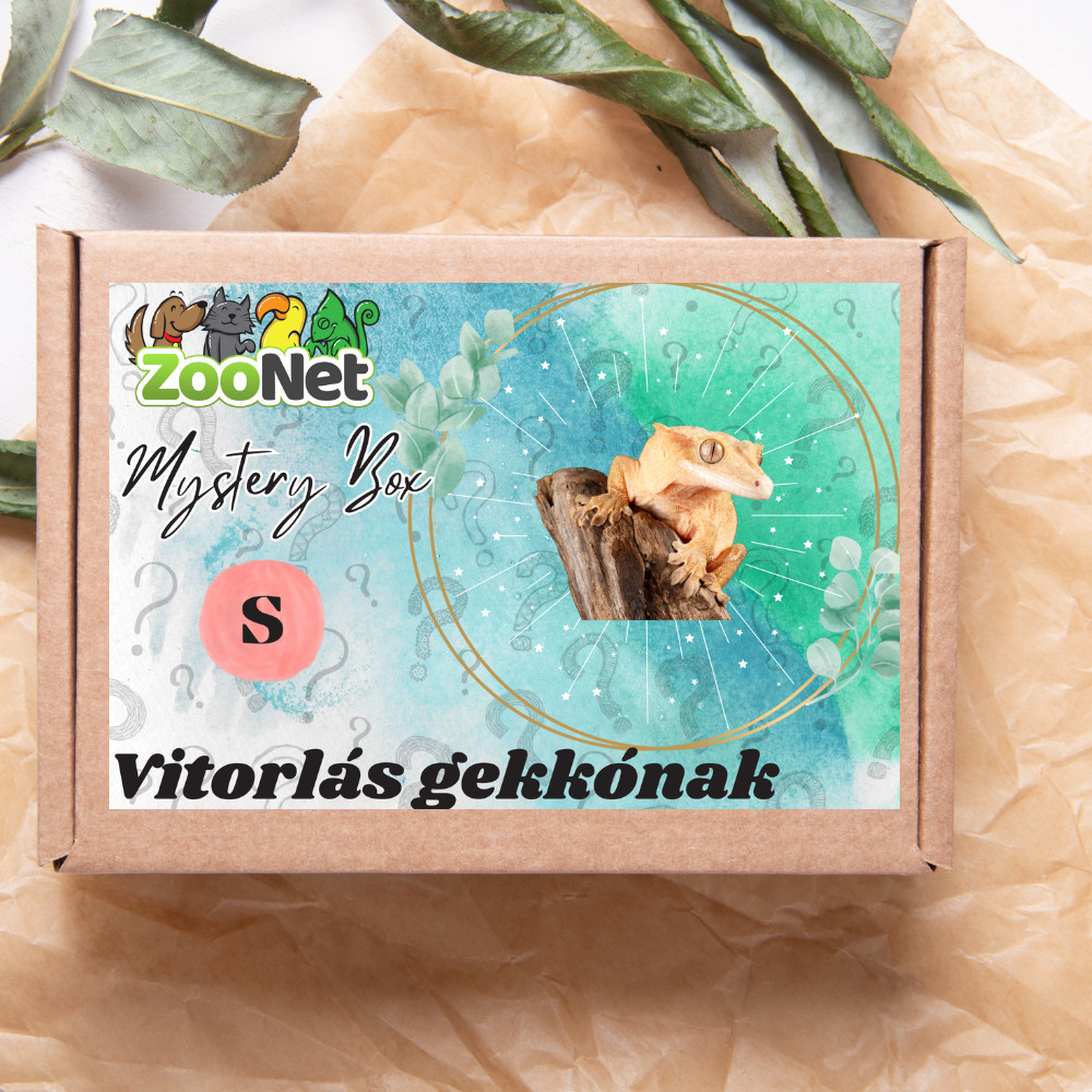 Kisállat webáruház - Mystery Box ajándékdoboz Vitorlás gekkóknak – S termékek