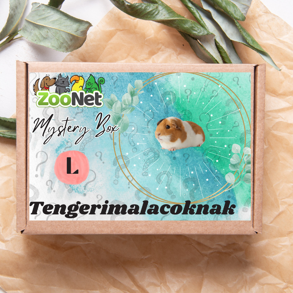 Kisállat webáruház - Mystery Box ajándékdoboz tengerimalacoknak– L termékek