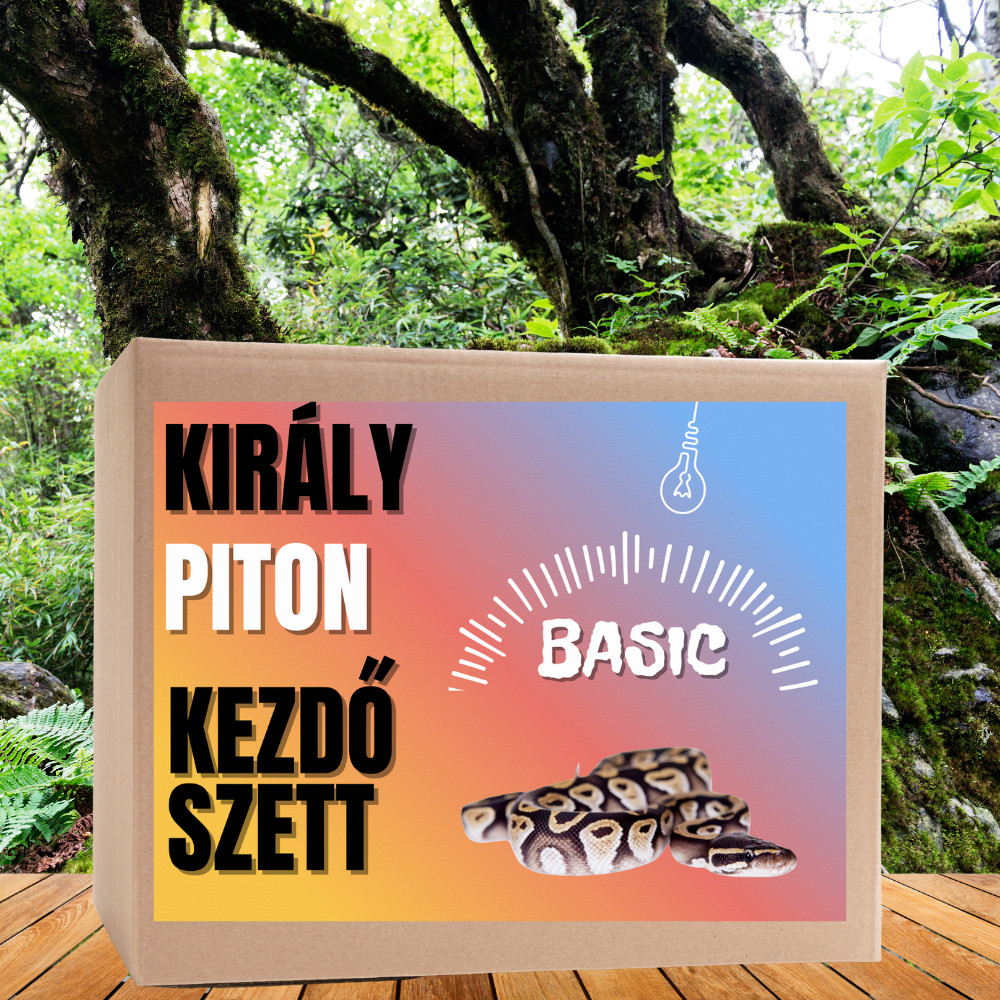 Kisállat webáruház - Piton BASIC kezdőcsomag - bébi pitonoknak termékek