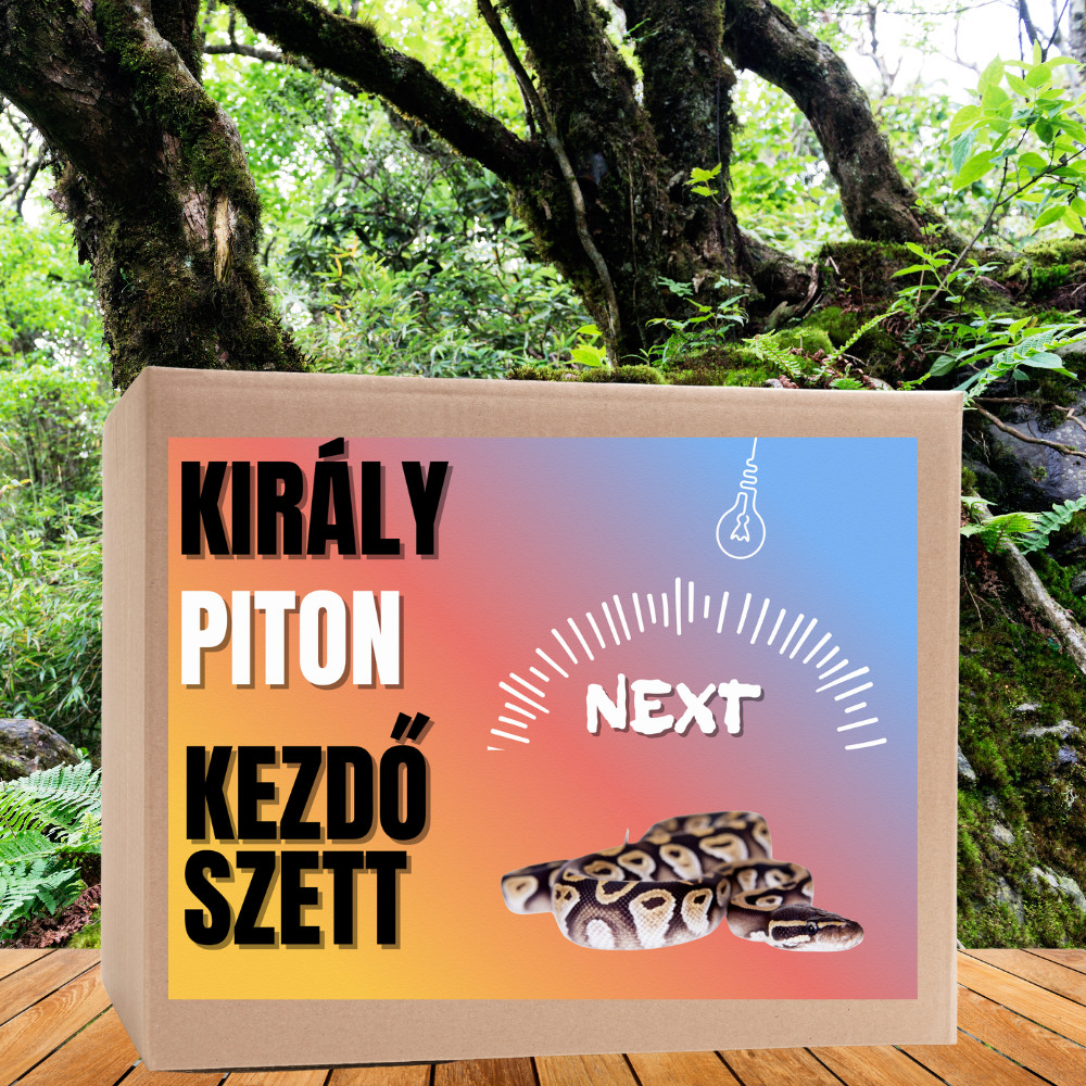 Kisállat webáruház - Piton NEXT kezdőcsomag - bébi pitonoknak termékek