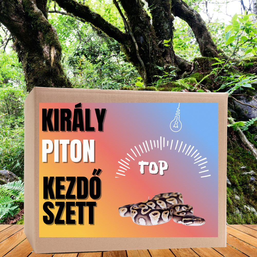 Kisállat webáruház - Piton TOP kezdőcsomag - bébi pitonoknak termékek