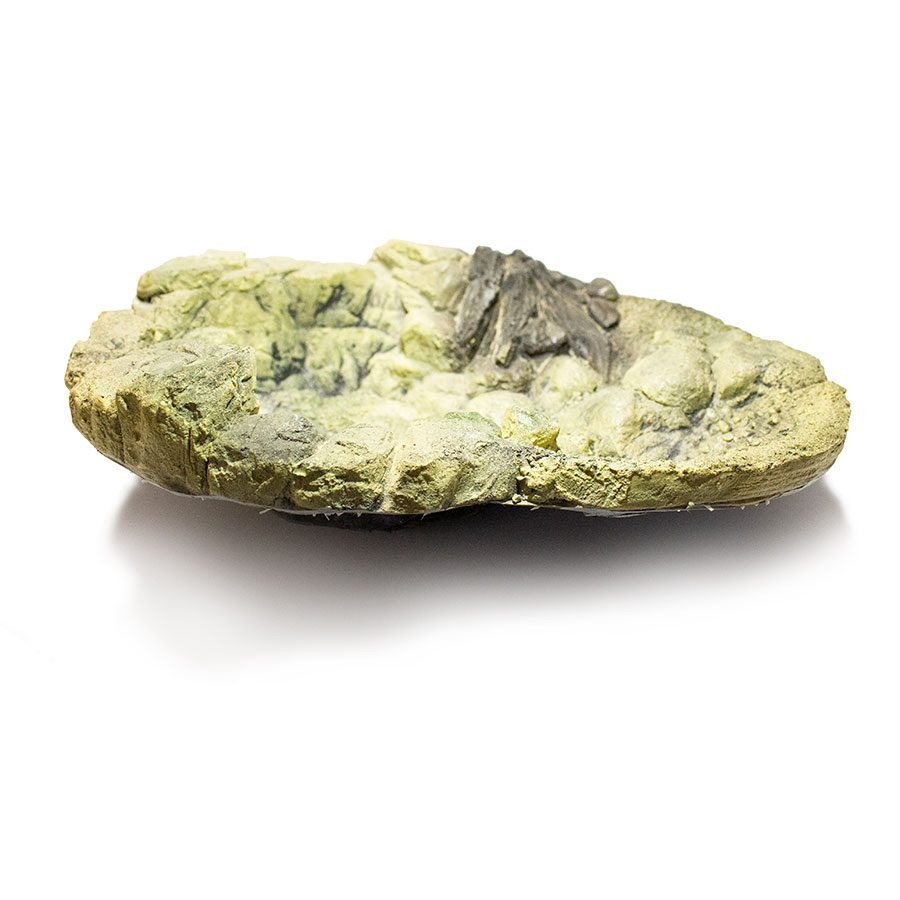 Kisállat webáruház - ProRep Jungle Rock Pool | Dzsungel szikla medence - XL termékek