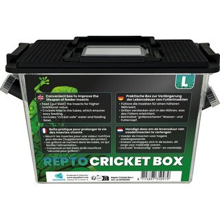 Kisállat webáruház - REPTO | CRICKET BOX | Rovar tartó doboz L - 30x20x23 cm termékek