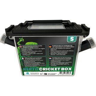 Kisállat webáruház - REPTO | CRICKET BOX | Rovar tartó doboz S - 21x9x15 cm termékek