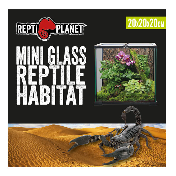 Kisállat webáruház - Repti Planet Mini Glass Reptile Habitat | Paludárium - 20 x 20 x 20 cm termékek