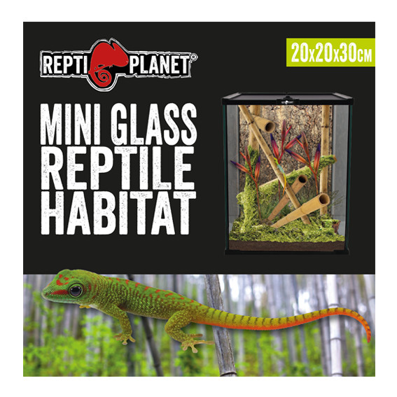 Kisállat webáruház - Repti Planet Mini Glass Reptile Habitat | Paludárium - 20 x 20 x 30 cm termékek