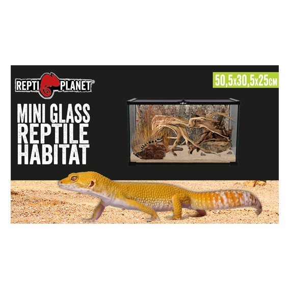 Kisállat webáruház - Repti Planet Mini Glass Reptile Habitat | Paludárium - 50.5 x 30.5 x 25 cm termékek