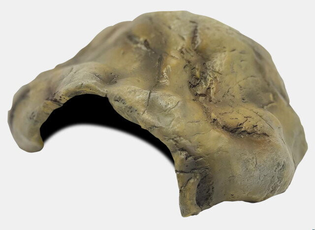 Kisállat webáruház - Repto Deco Cave | Hüllő barlang - M termékek