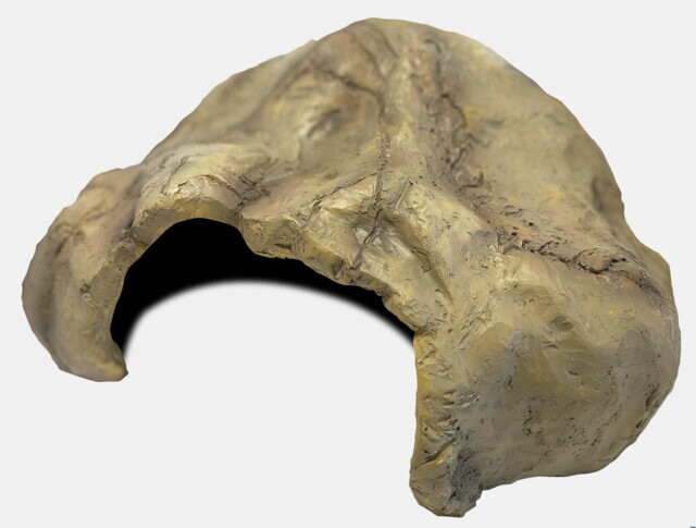 Kisállat webáruház - Repto Deco Cave | Hüllő barlang - XL termékek