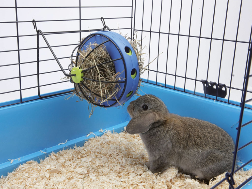 Kisállat webáruház - SAVIC | Bunny Toy Hay and Snack Feeder - széna és snack etető nyulak részére (kék színben) - Ø20cm termékek