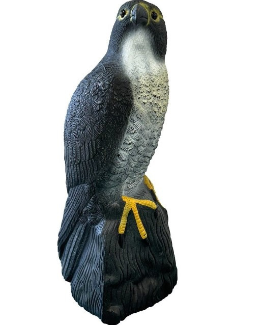 Kisállat webáruház - SuperFish | DECO BIRD FALKON | Dekoráció, sólyom termékek