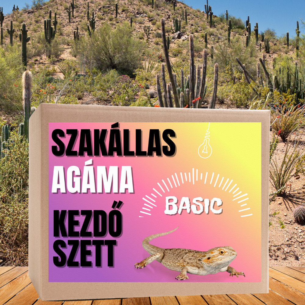 Kisállat webáruház - Szakállas agáma BASIC kezdőcsomag - bébi agámáknak termékek