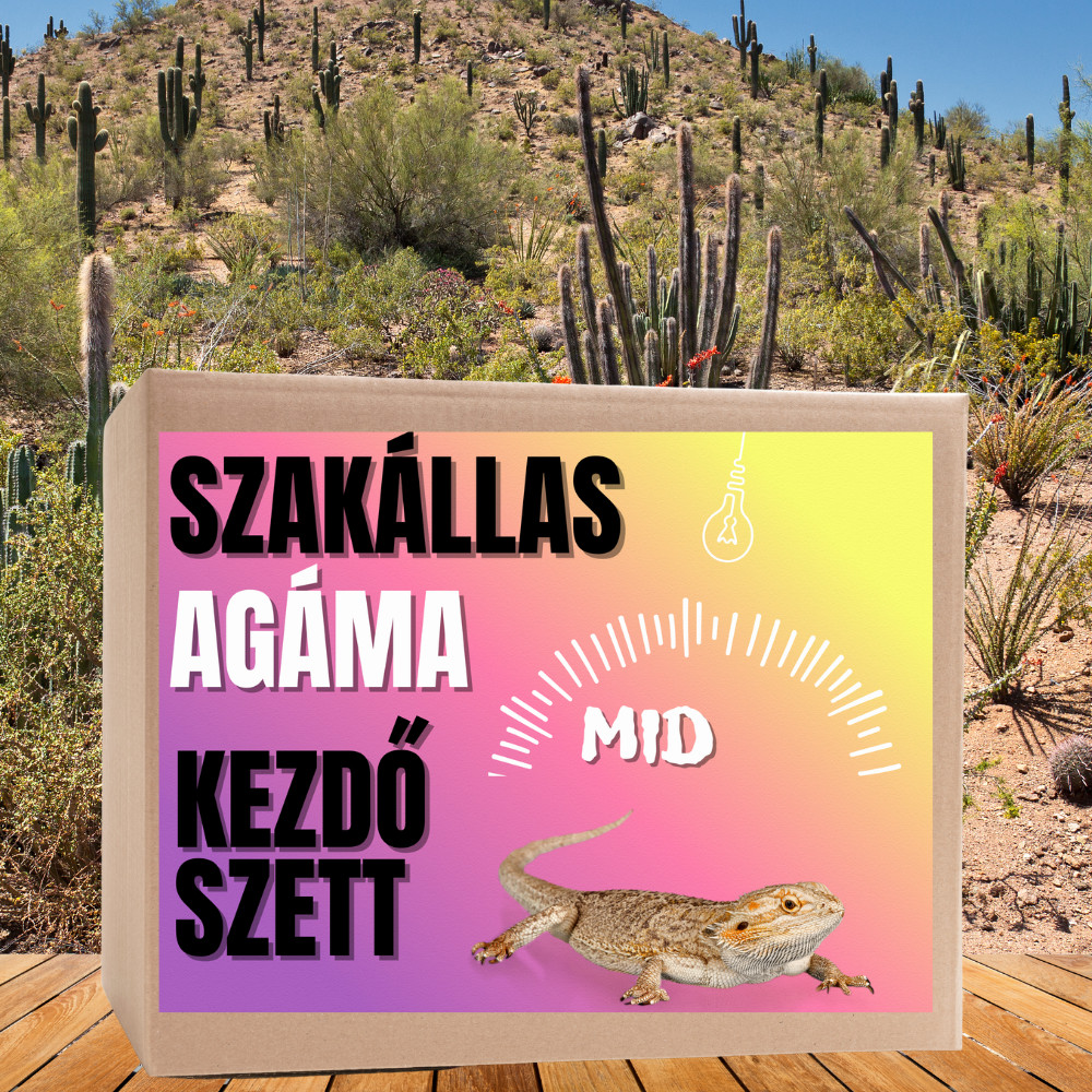 Kisállat webáruház - Szakállas agáma MID kezdőcsomag - bébi agámáknak termékek