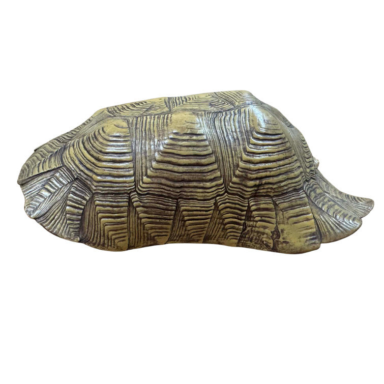 Kisállat webáruház - Terrarium Relic Shell Hide – Prémium műgyanta teknőspáncél barlang (16 × 24 × 7 cm) - sárgásbarna termékek