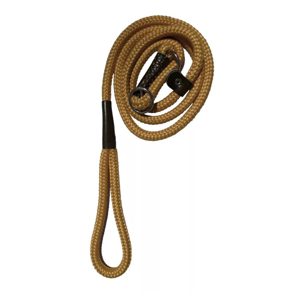 Kisállat webáruház - Training póráz arany termékek