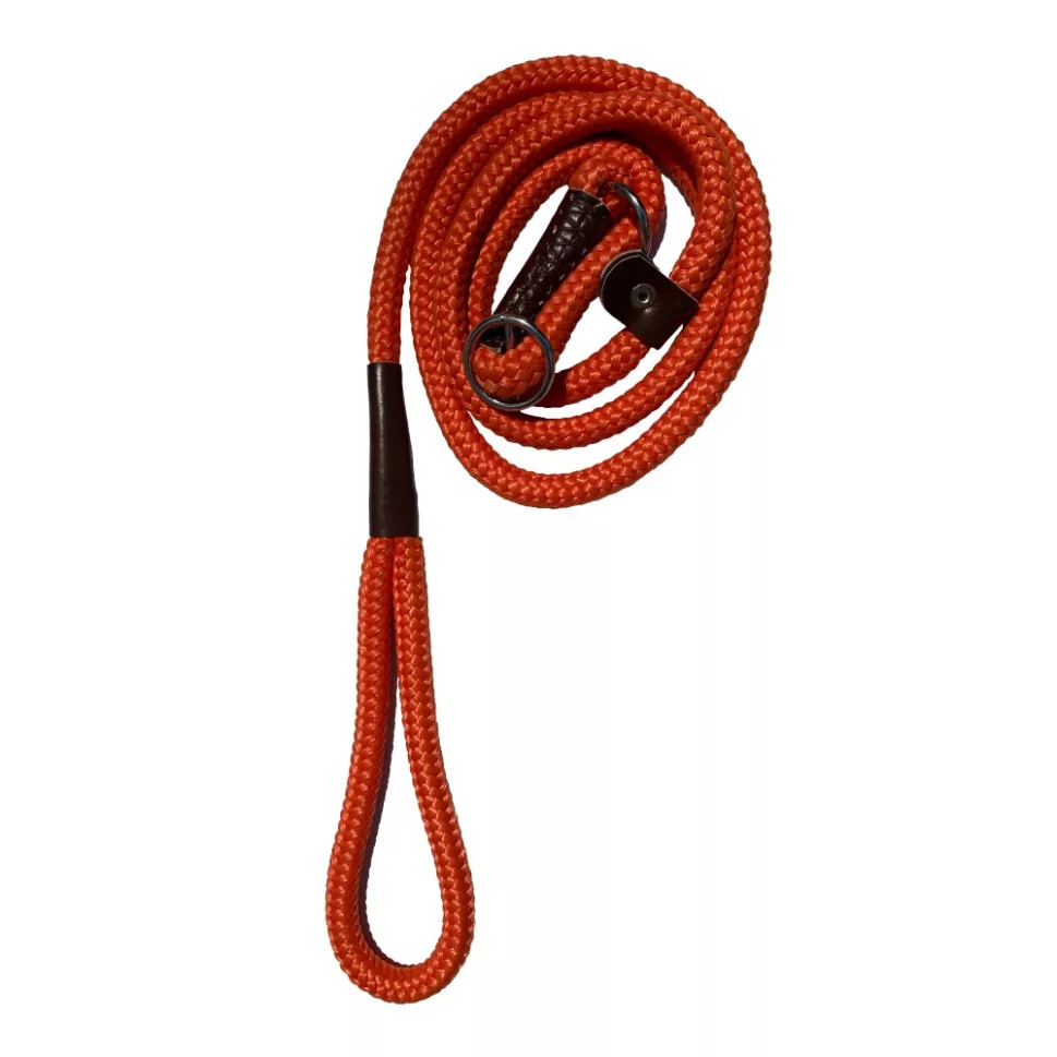 Kisállat webáruház - Training póráz narancs termékek