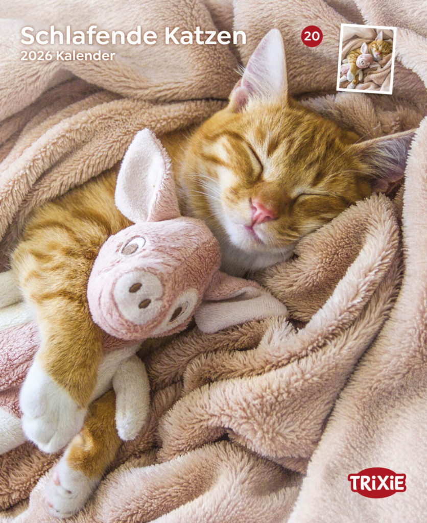 Kisállat webáruház - Trixie | Falinaptár Álmodozó macskák – 2026 termékek