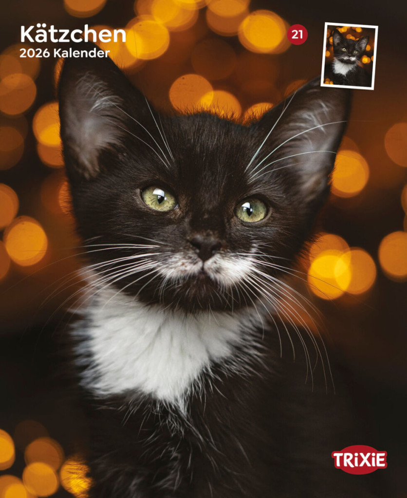 Kisállat webáruház - Trixie | Falinaptár Kiscicák – 2026 termékek