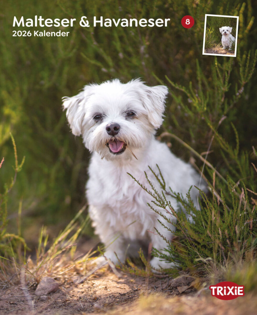 Kisállat webáruház - Trixie | Falinaptár Maltezerek & Havanezek – 2026 termékek