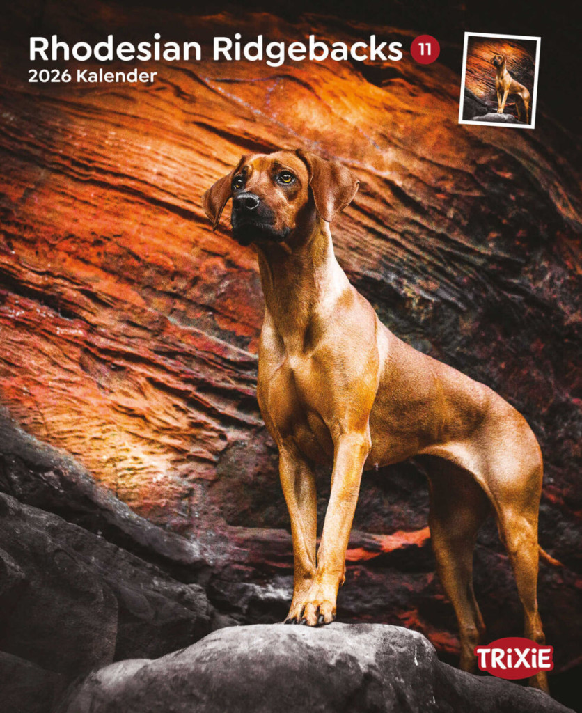 Kisállat webáruház - Trixie | Falinaptár Rhodesian Ridgeback – 2026 termékek