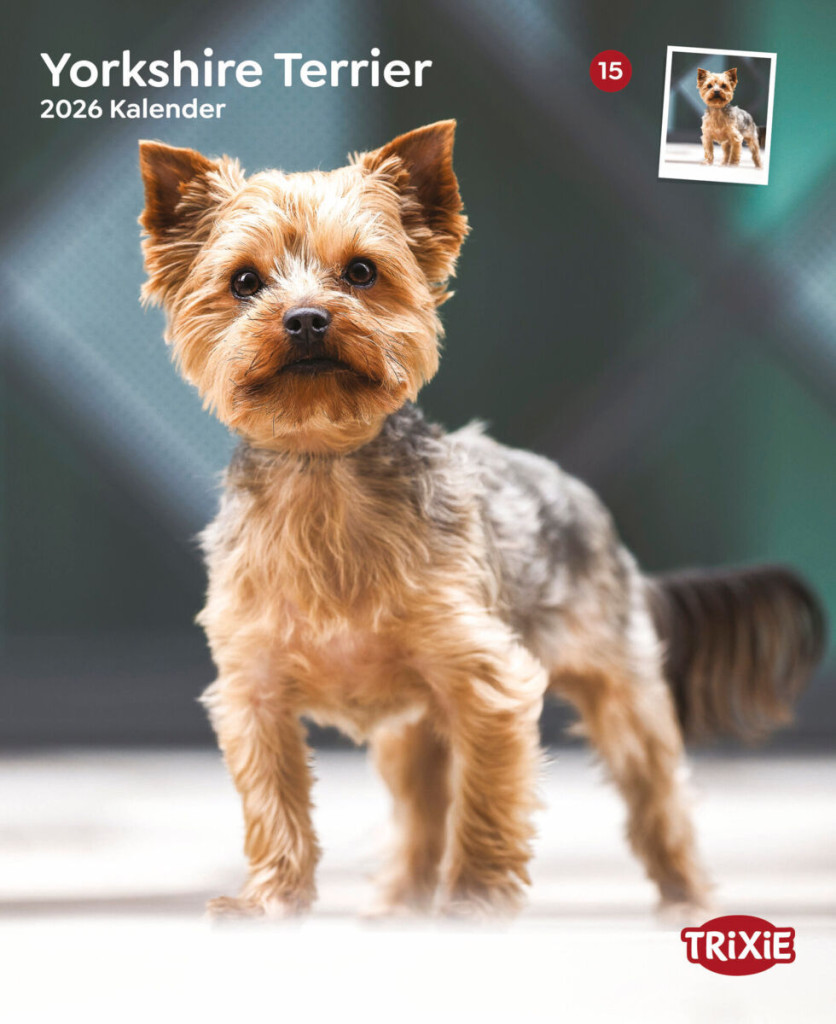 Kisállat webáruház - Trixie | Falinaptár Yorkshire terrier – 2026 termékek