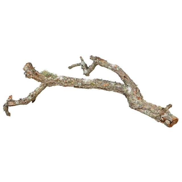 Kisállat webáruház - Trixie Tronchos Mixed Cork-Branches | Parafa mászóág - 75 cm termékek