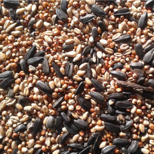 Kisállat webáruház - Trópus Mag | Téli vadmadár eleség 10 kg termékek