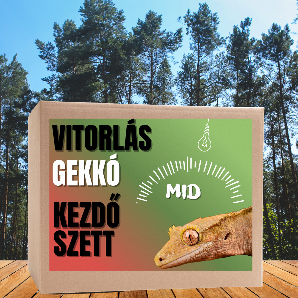 Kisállat webáruház - Vitorlás gekkó MID kezdőcsomag - bébi gekkóknak termékek