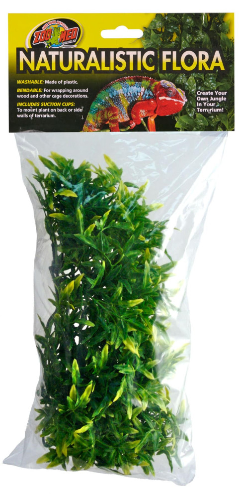 Kisállat webáruház - Zoo Med Natural Bush Bolivian Crotan | Bolíviai Krotán - nagy termékek