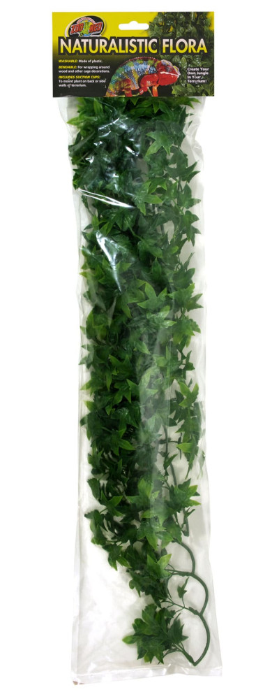 Kisállat webáruház - Zoo Med Natural Bush Congo Ivy | Kongói borostyán - nagy termékek